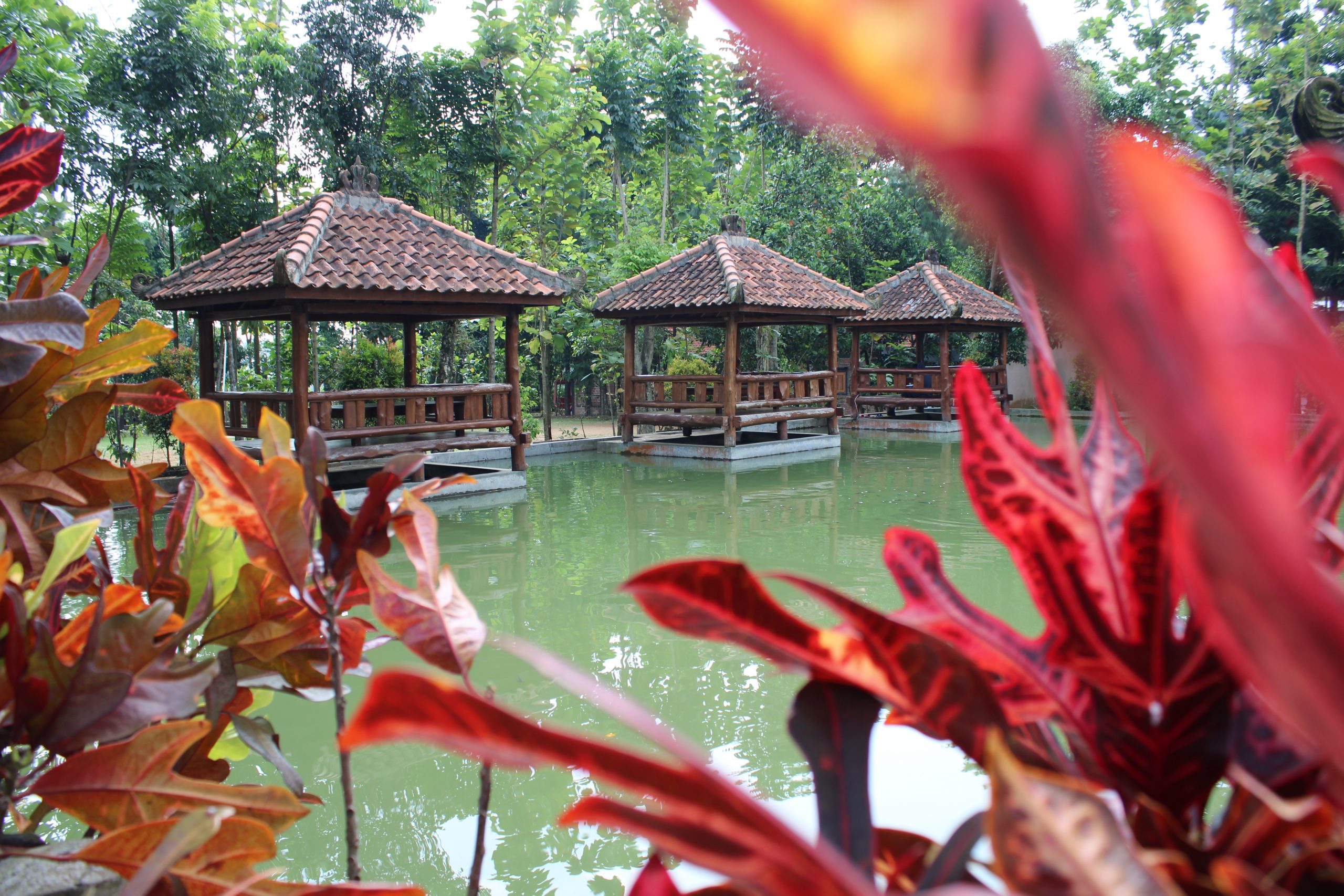 Gazebo - SMP Bina Insan Boarding School