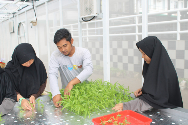 Gardening - SMP Bina Insan Boarding School