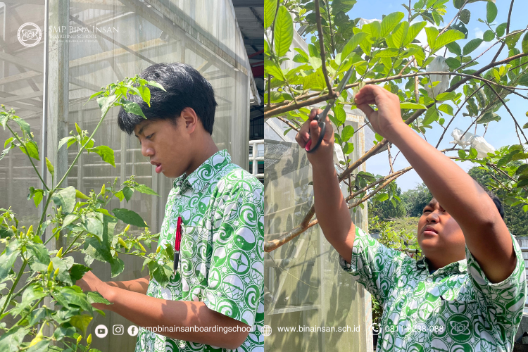 Belajar Teks Laporan Hasil Observasi Lewat Projek Mini Herbarium - SMP Bina Insan Boarding School